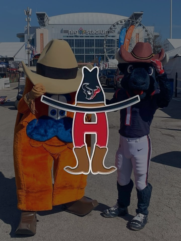 This Ain’t My First Rodeo Pin - Houston Texans