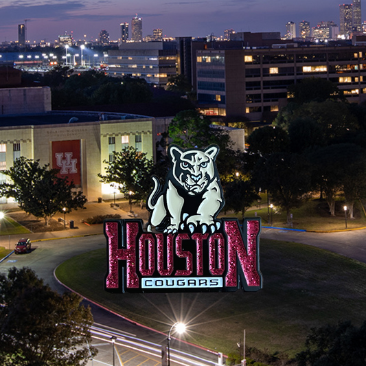 University of Houston Cougars Glitter Pin